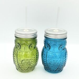 NEW Set Of‎ 2 Glass Owl Cups With Metal Lids And Straws Sippers Green Blue